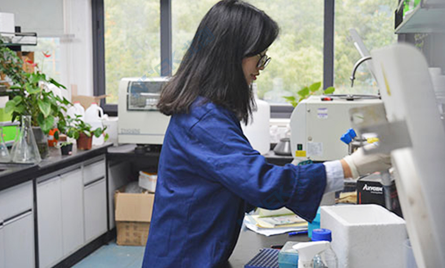 材料分析實(shí)驗(yàn)室