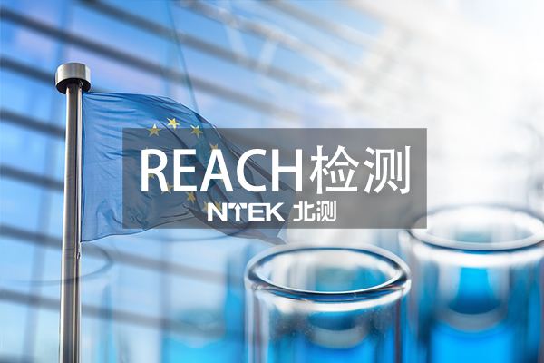 REACH檢測