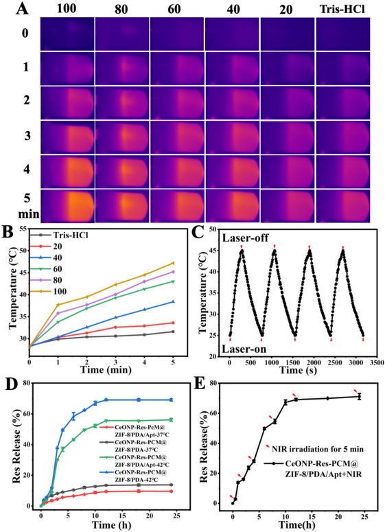【圖三 】探針的光熱性能以及Res的可控釋放圖