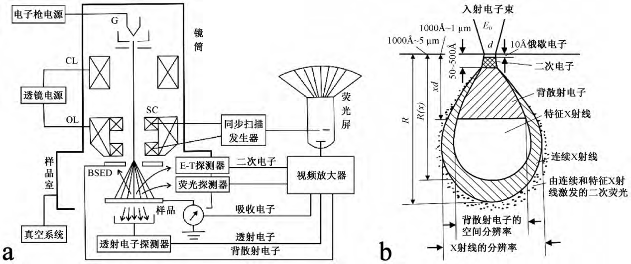 掃描電鏡&能譜（SEM&EDS）分析