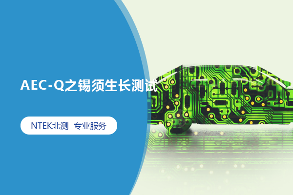 AEC-Q之錫須生長測試